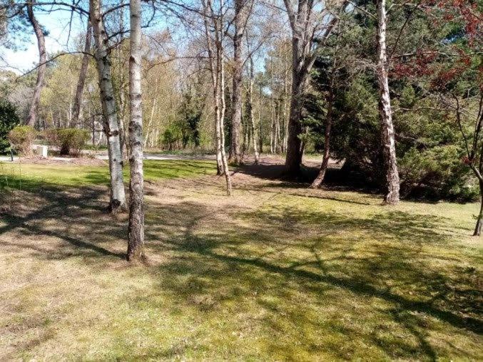 Villa Les Lutins Le Touquet Eksteriør bilde