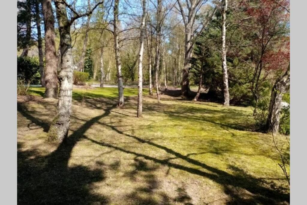 Villa Les Lutins Le Touquet Eksteriør bilde